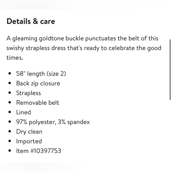 Hutch Drop Waist Belted Dress - Picture 7 of 7